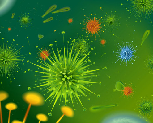 Pollen